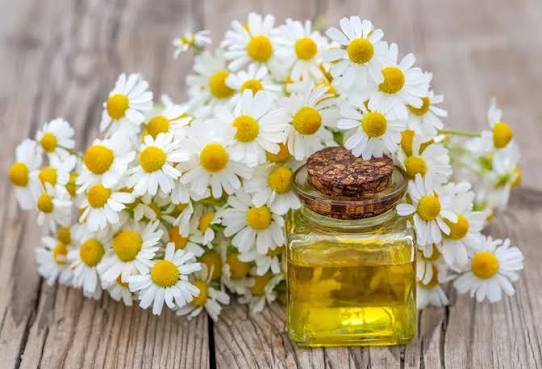 Chamomile for sensitive skin (2)