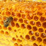 propolis na trądzik i wypryski na skórze