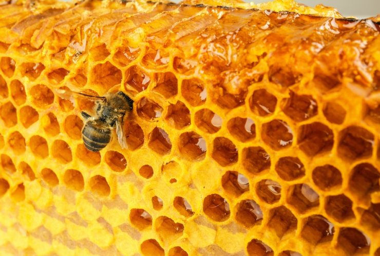 propolis na trądzik i wypryski na skórze