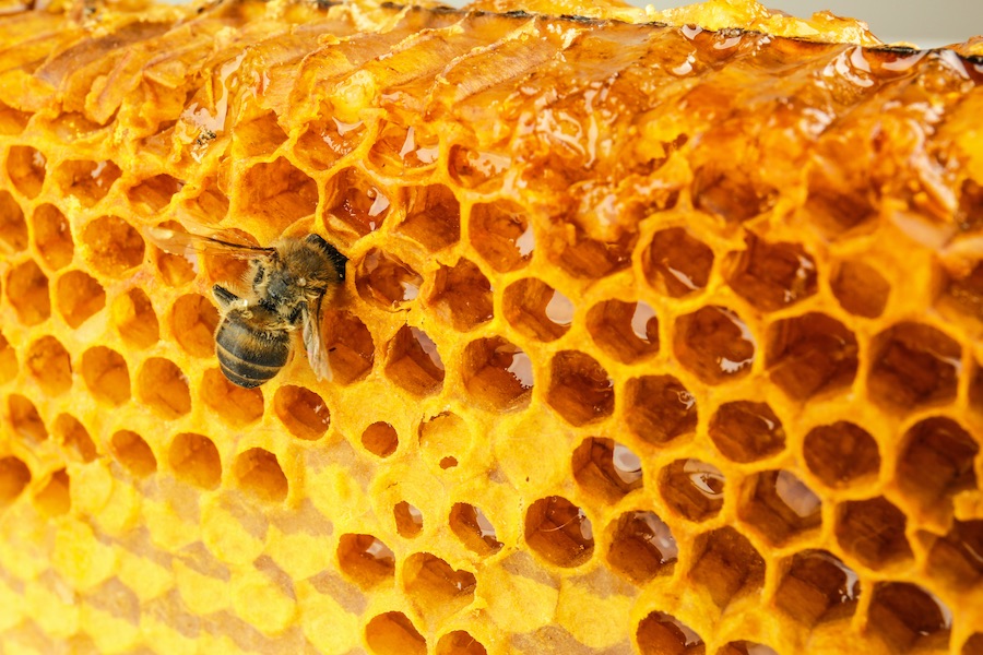 propolis na trądzik i wypryski na skórze